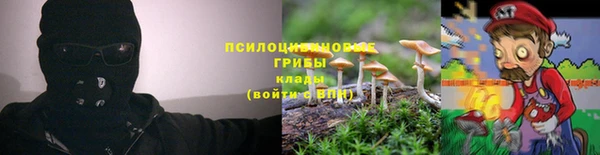 бошки Алексеевка